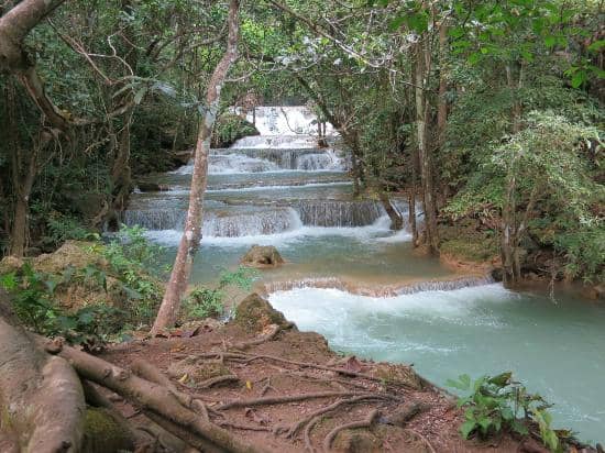 Tranquil Nature Trails