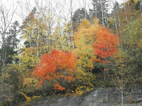 South Lake Trail Hike