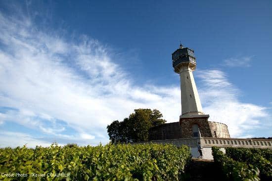 Local Champagne Tasting Room