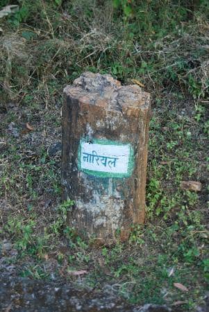 Vertical photo