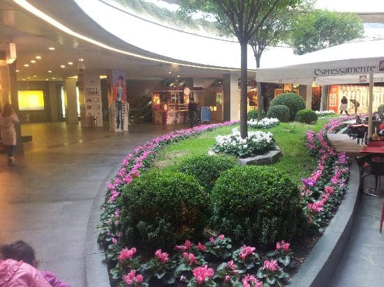 Festive Decorations