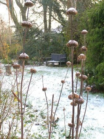 Children's Playground