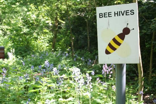 Wooded Areas & Ponds