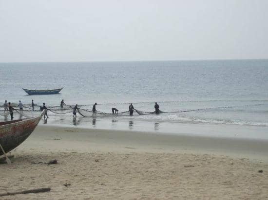 Nightlife and Dining