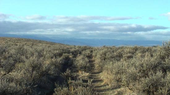 Interactive Museum Exhibits