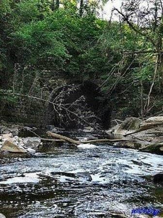 Great Falls of Tinkers Creek