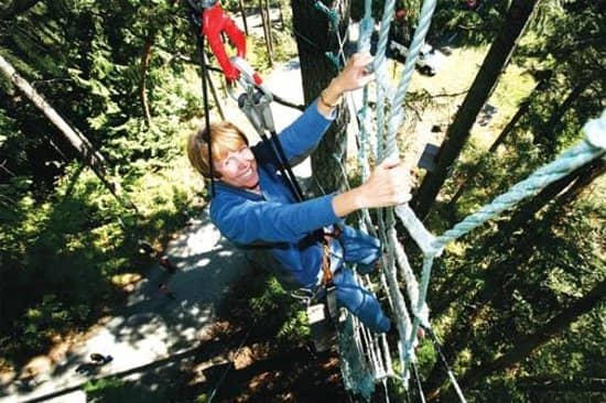 Treetop Adventure Courses