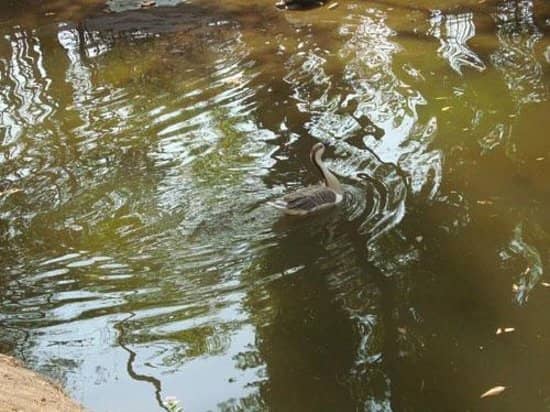 Children's Play Area