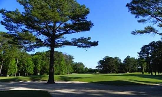 TrackMan Driving Range