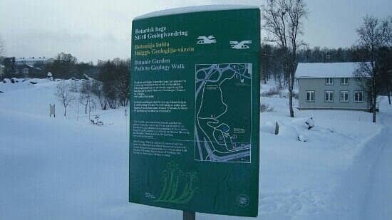 Vibrant Summer Blooms