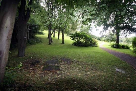 Interactive Family Exhibits