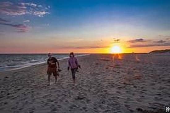 Millie's Nantucket