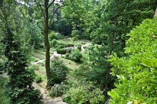 Ancient Arboretum