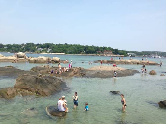 Tide Pool Exploration