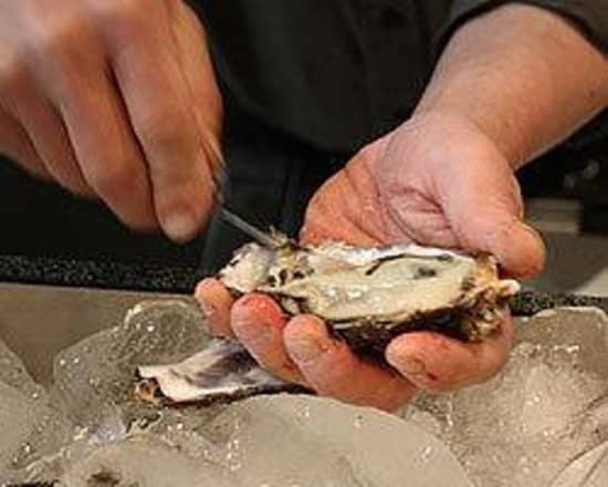 Freshly Grilled Oysters