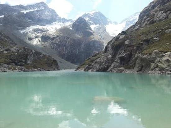 Forest and Meadow Trails