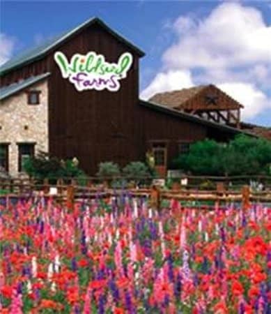 Wine Tasting & Vineyard