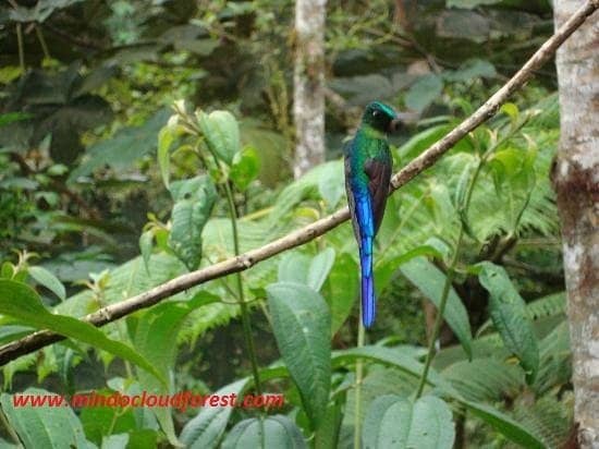 Birdwatching Paradise