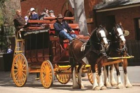 Animal Nursery & Pony Rides