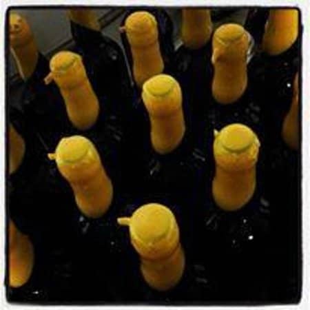 Scenic Grounds and Wildlife