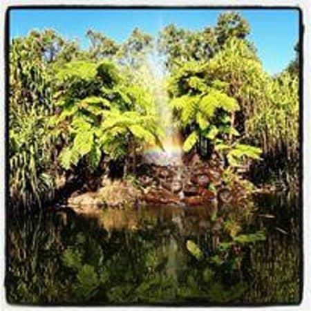 Iridium Rum Collection