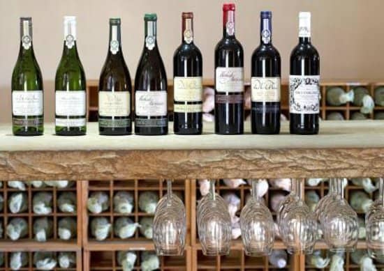 Vineyard Views & Dam