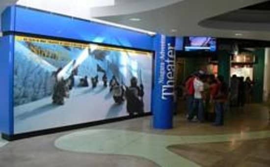 The Falls Up Close (via Film)