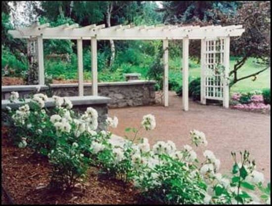 Historic Bridge Viewpoint