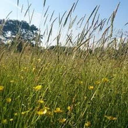 Adventure Playground