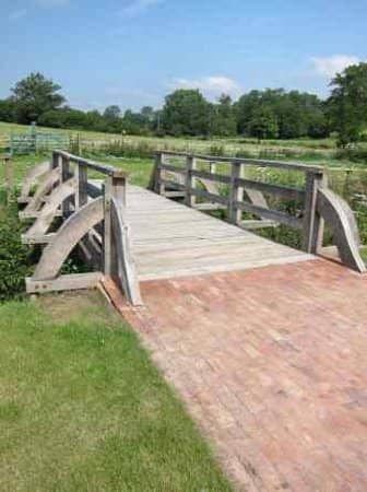 Scenic Estate Walks