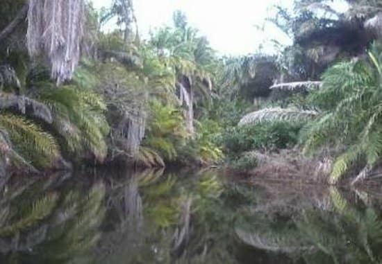 Rio Roncador Natural Pools