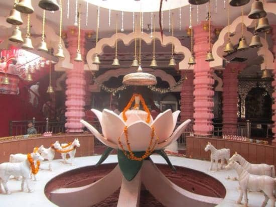 Replica Horse Offerings