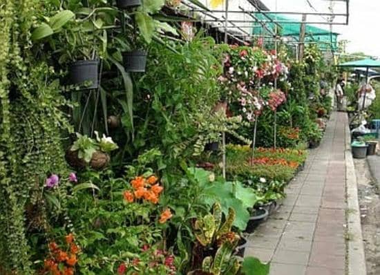 Wholesale Wonders