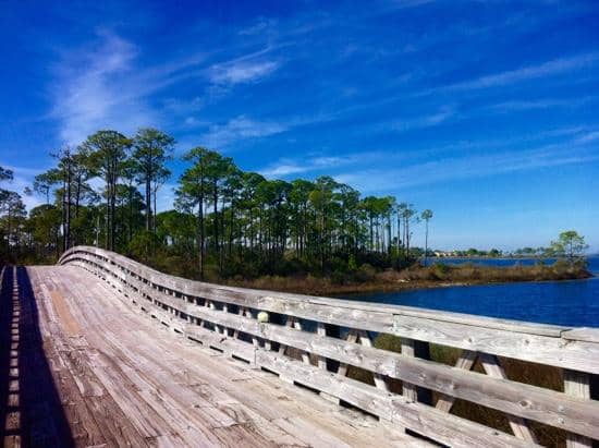 Scenic Walking Bridge