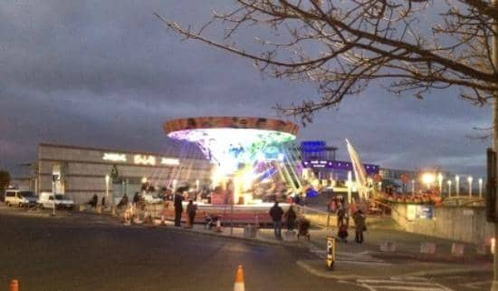 Oyster Reintroduction Project