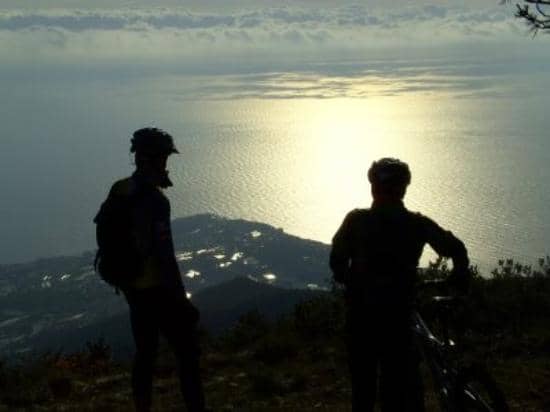 Delicious Local Restaurant