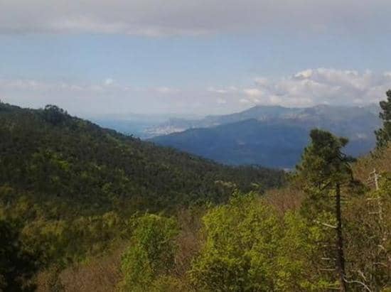 Family Playground & Picnic