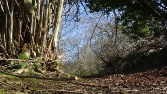 Panoramic City Views