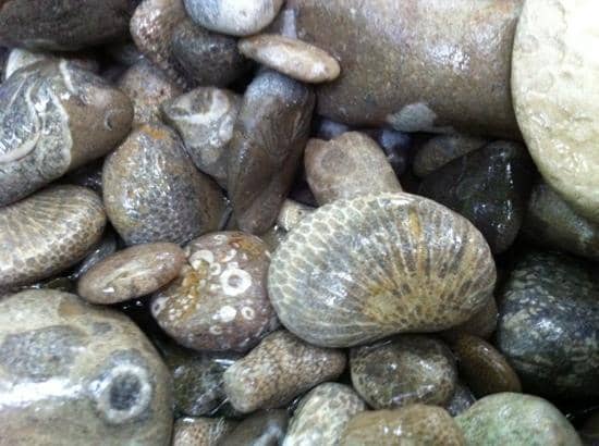 Petoskey & Charlevoix Stone Hunting