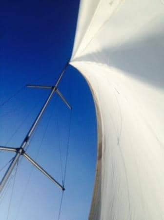 Sailing & Swimming