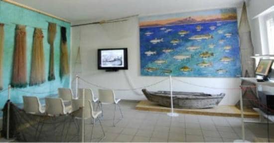 Ornithology Exhibits