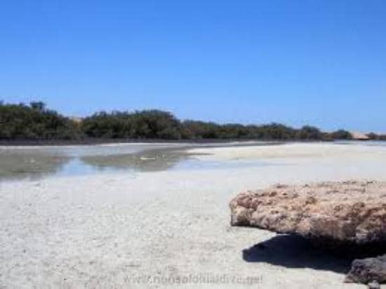 Jackson Reef