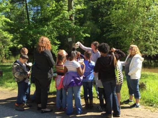 Nature Center Exhibits