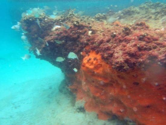 Underwater Snorkel Trail