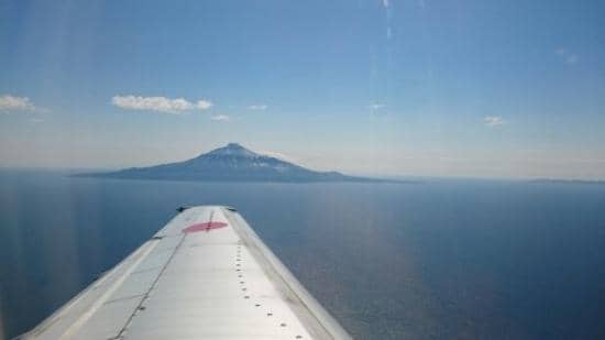 Fresh Seafood Delights