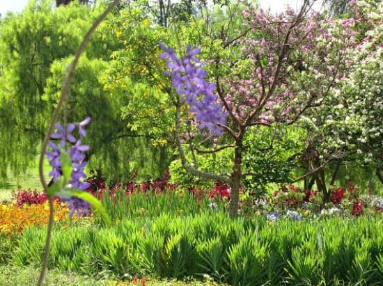 Serpentine Spectacle