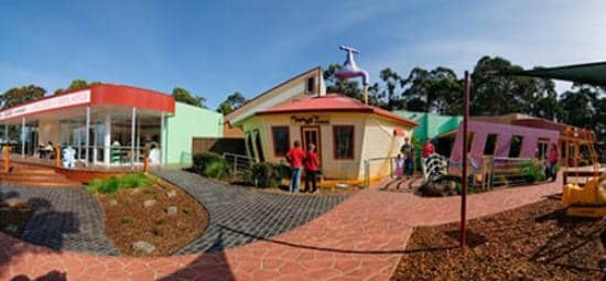 Optical Illusions & Magic