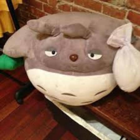 Standing Sushi Bar Experience