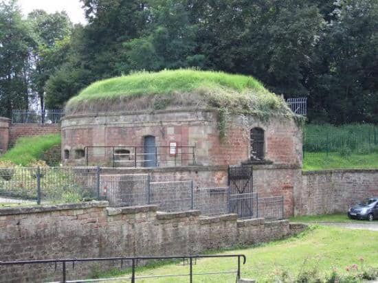 Forest Trails & Fitness Path