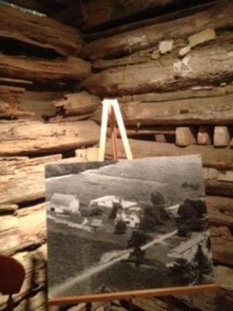 Outdoor Exhibits and Gardens